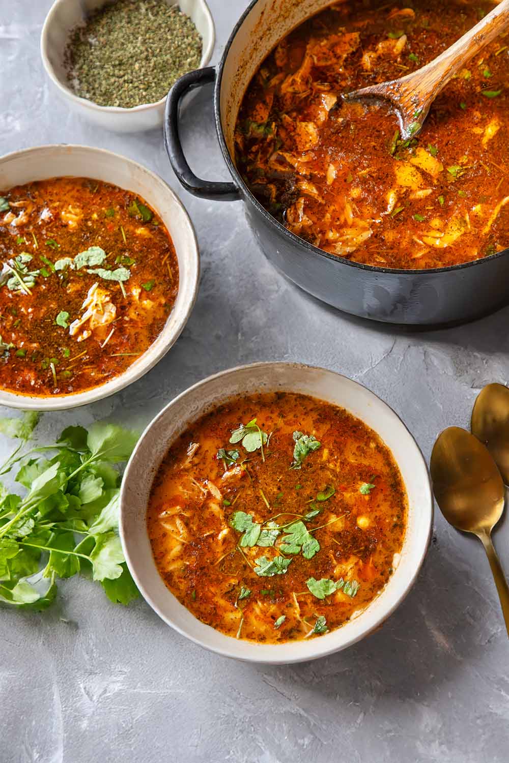 Gezonde Turkse kippensoep, (Tavuk Çorbası), met gedroogde munt, kikkererwten en zelfgemaakte bouillon